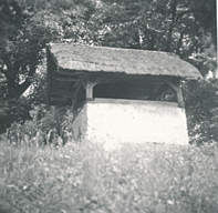 eika image